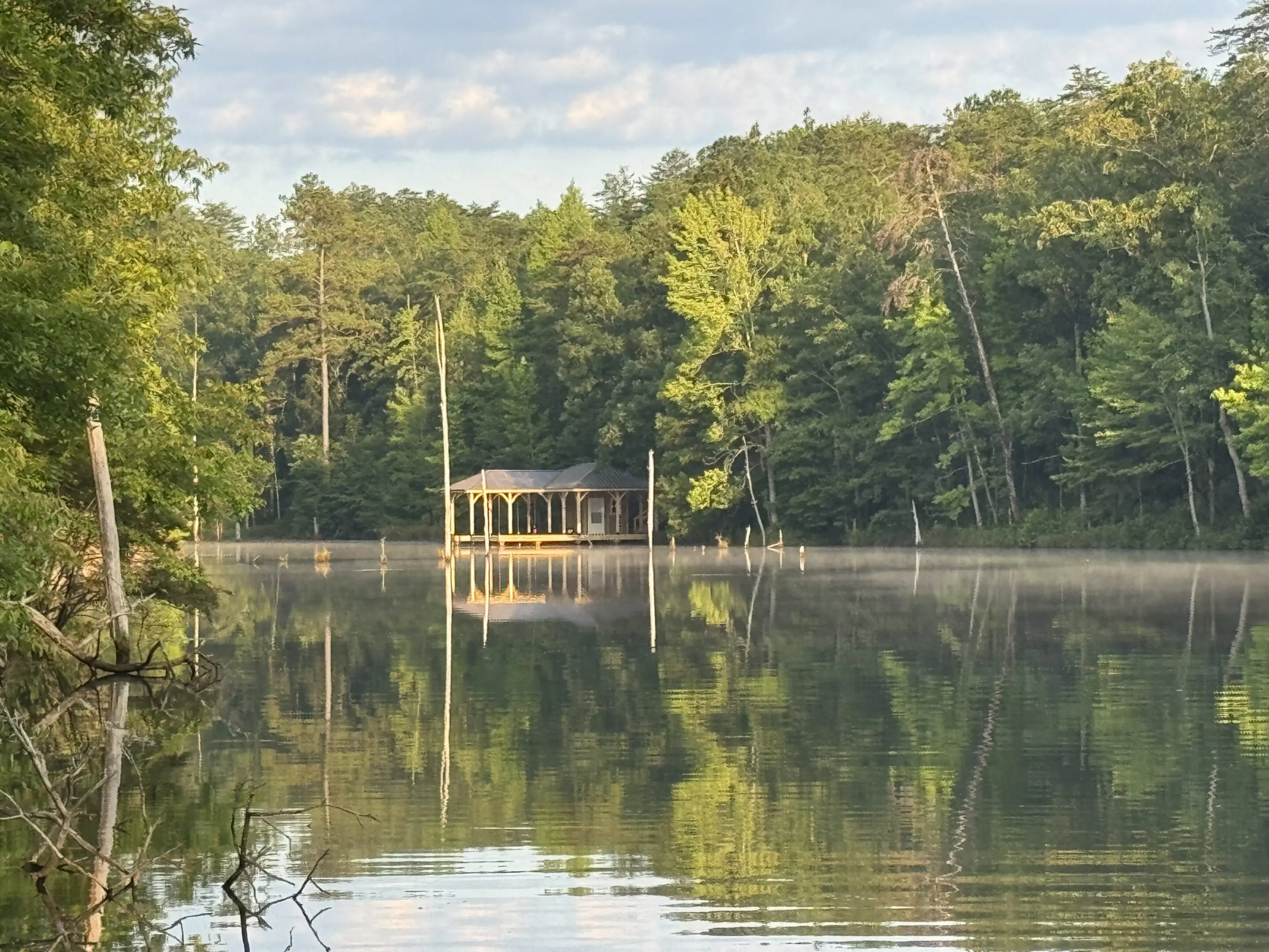 Lakeside cabin surrounded by lush green forest.